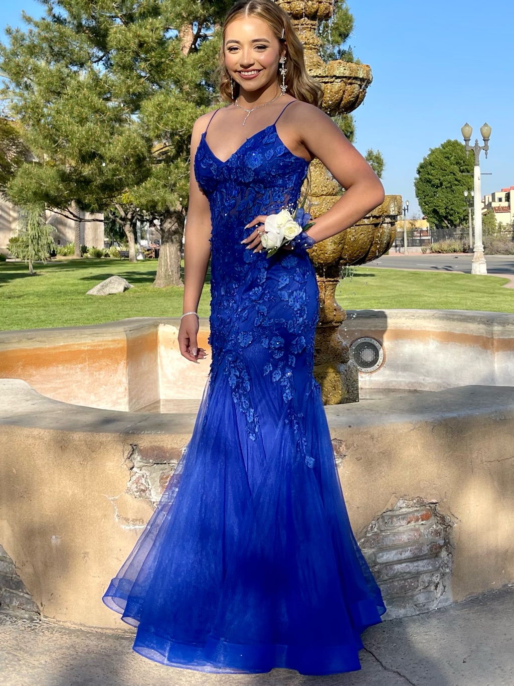 Royal Blue Floral Appliqu Tulle Gown